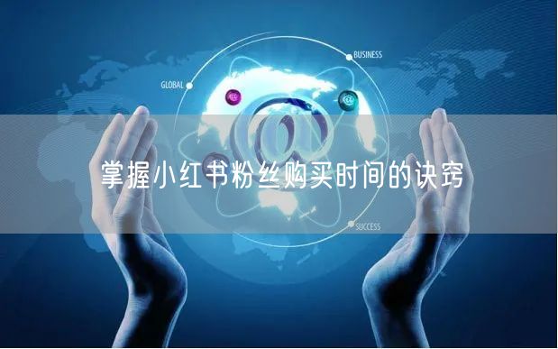 掌握小红书粉丝购买时间的诀窍
