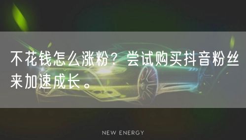 不花钱怎么涨粉？尝试购买抖音粉丝来加速成长。