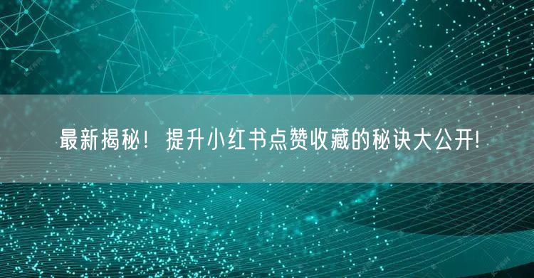 最新揭秘！提升小红书点赞收藏的秘诀大公开!