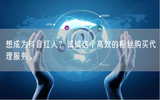 想成为抖音红人？试试这个高效的粉丝购买代理服务。
