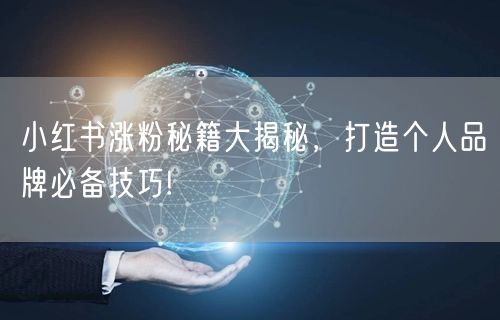 小红书涨粉秘籍大揭秘，打造个人品牌必备技巧!