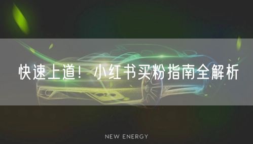快速上道！小红书买粉指南全解析
