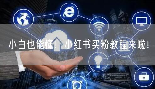 小白也能懂！小红书买粉教程来啦！