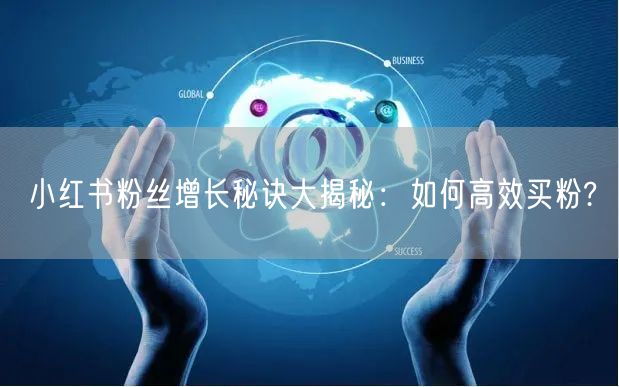 小红书粉丝增长秘诀大揭秘：如何高效买粉?