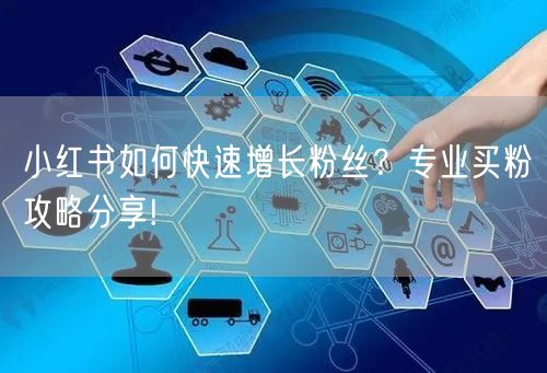 小红书如何快速增长粉丝？专业买粉攻略分享!