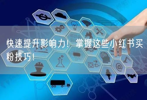快速提升影响力！掌握这些小红书买粉技巧！