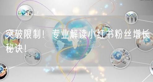 突破限制！专业解读小红书粉丝增长秘诀！