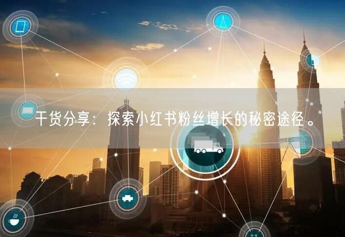 干货分享：探索小红书粉丝增长的秘密途径。