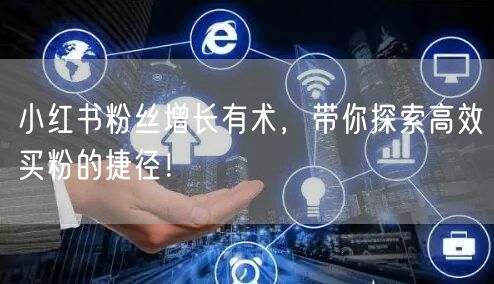 小红书粉丝增长有术，带你探索高效买粉的捷径！
