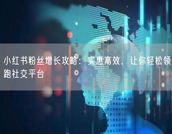 小红书粉丝增长攻略：实惠高效，让你轻松领跑社交平台