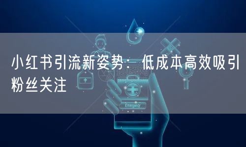 小红书引流新姿势：低成本高效吸引粉丝关注