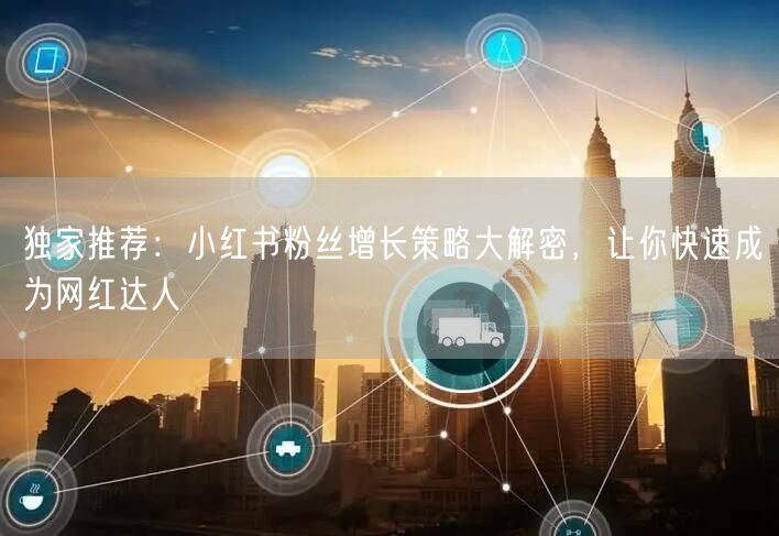 独家推荐：小红书粉丝增长策略大解密，让你快速成为网红达人