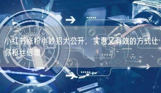 小红书涨粉小妙招大公开，实惠又有效的方式让你粉丝倍增