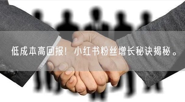 低成本高回报！小红书粉丝增长秘诀揭秘。