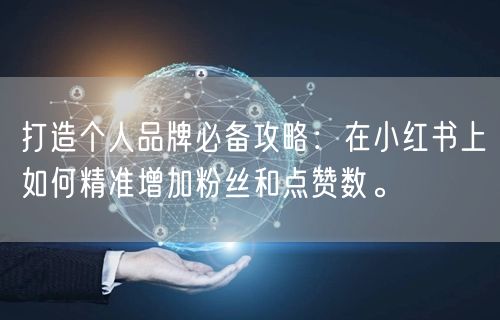 打造个人品牌必备攻略：在小红书上如何精准增加粉丝和点赞数。