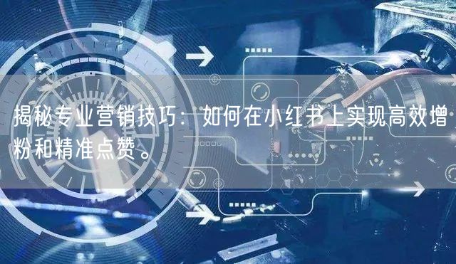 揭秘专业营销技巧：如何在小红书上实现高效增粉和精准点赞。
