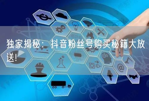 独家揭秘：抖音粉丝号购买秘籍大放送!