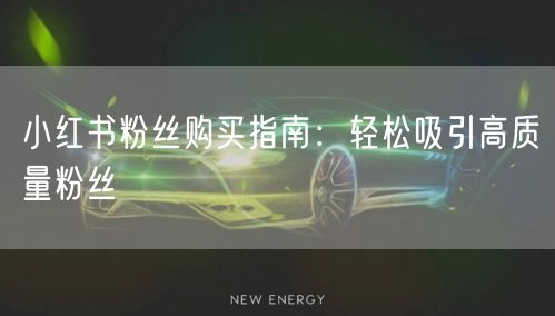 小红书粉丝购买指南：轻松吸引高质量粉丝
