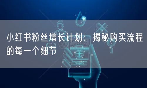 小红书粉丝增长计划：揭秘购买流程的每一个细节