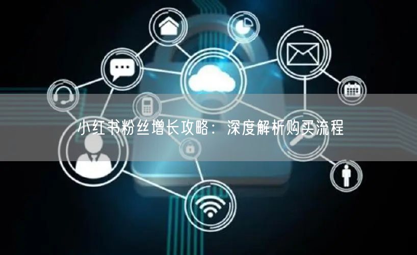 小红书粉丝增长攻略：深度解析购买流程