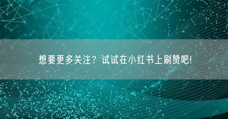 想要更多关注？试试在小红书上刷赞吧!