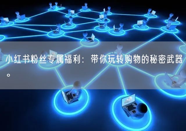 小红书粉丝专属福利：带你玩转购物的秘密武器。
