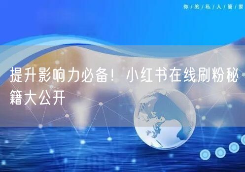 提升影响力必备！小红书在线刷粉秘籍大公开