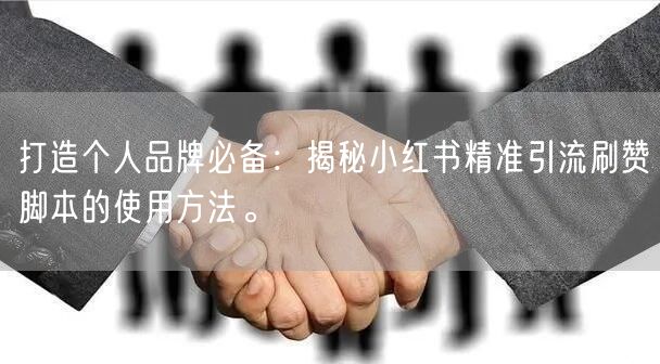 打造个人品牌必备：揭秘小红书精准引流刷赞脚本的使用方法。