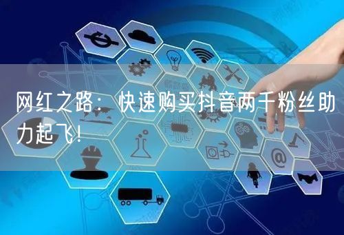 网红之路：快速购买抖音两千粉丝助力起飞！