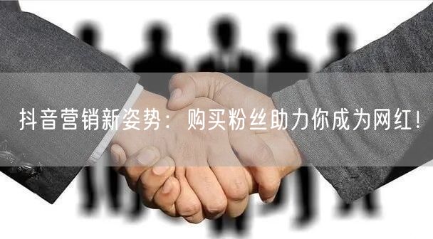 抖音营销新姿势：购买粉丝助力你成为网红！