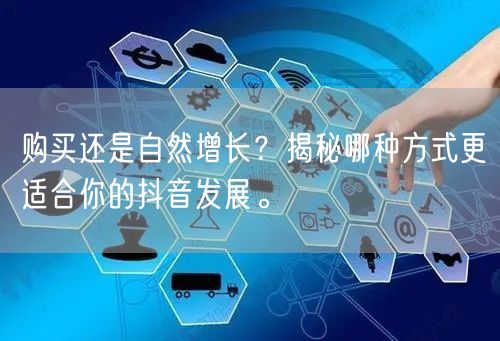 购买还是自然增长？揭秘哪种方式更适合你的抖音发展。