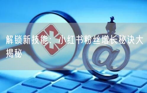 解锁新技能：小红书粉丝增长秘诀大揭秘