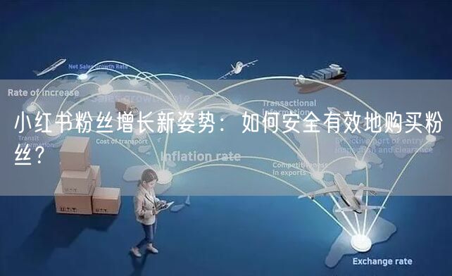 小红书粉丝增长新姿势：如何安全有效地购买粉丝？
