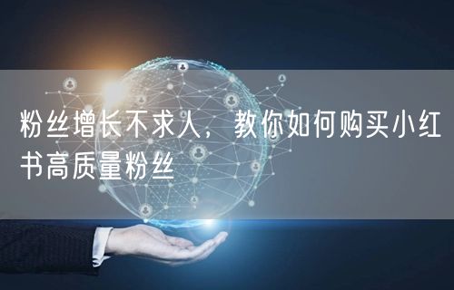 粉丝增长不求人，教你如何购买小红书高质量粉丝