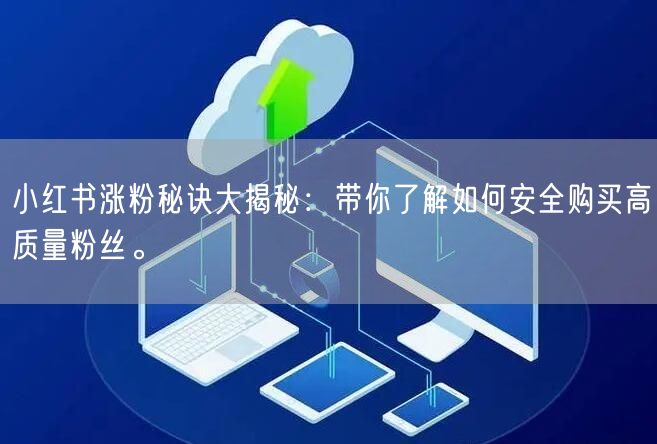 小红书涨粉秘诀大揭秘：带你了解如何安全购买高质量粉丝。