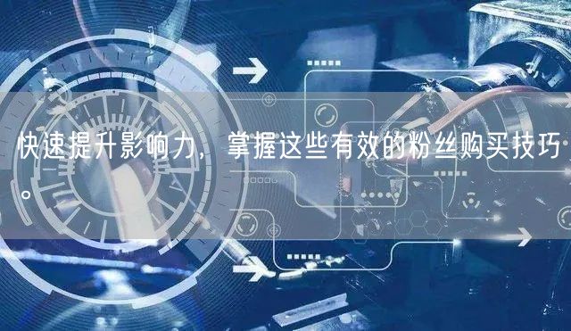 快速提升影响力，掌握这些有效的粉丝购买技巧。