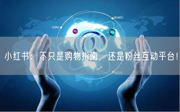 小红书：不只是购物指南，还是粉丝互动平台！