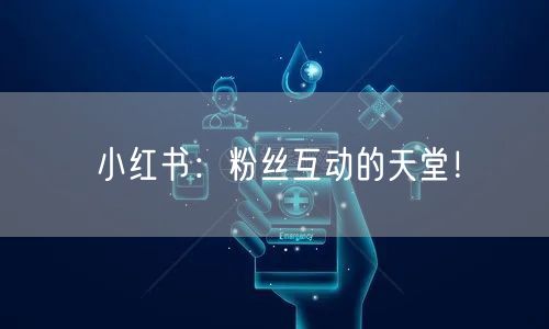 小红书：粉丝互动的天堂！