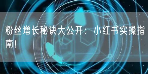 粉丝增长秘诀大公开：小红书实操指南！