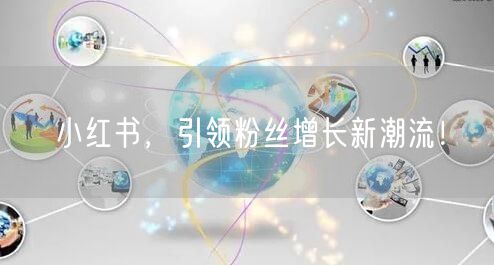 小红书，引领粉丝增长新潮流！
