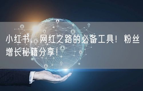 小红书，网红之路的必备工具！粉丝增长秘籍分享！
