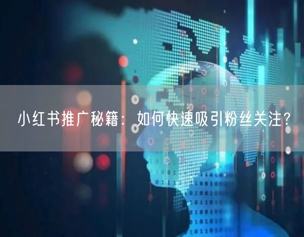 小红书推广秘籍：如何快速吸引粉丝关注？