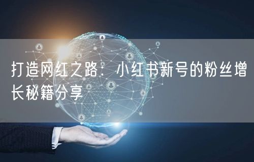 打造网红之路：小红书新号的粉丝增长秘籍分享