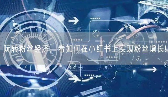 玩转粉丝经济，看如何在小红书上实现粉丝增长!