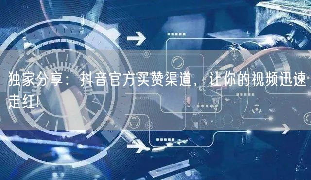 独家分享：抖音官方买赞渠道，让你的视频迅速走红!