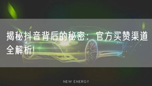 揭秘抖音背后的秘密：官方买赞渠道全解析!