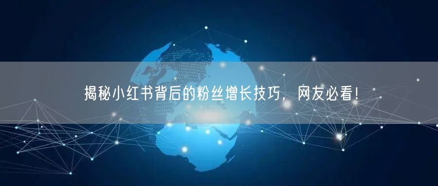 揭秘小红书背后的粉丝增长技巧，网友必看！