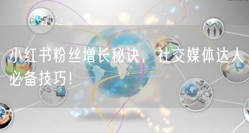 小红书粉丝增长秘诀，社交媒体达人必备技巧！