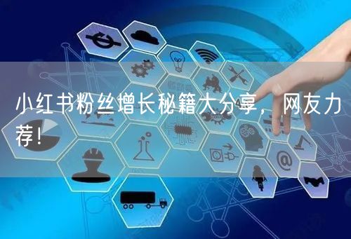 小红书粉丝增长秘籍大分享，网友力荐！
