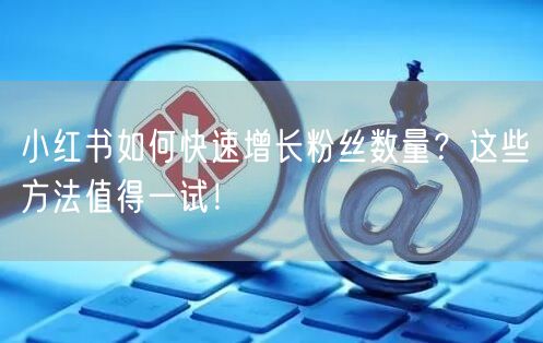 小红书如何快速增长粉丝数量？这些方法值得一试！